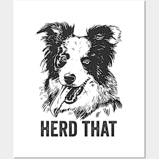 Funny Border Collie Dog Herd That Posters and Art